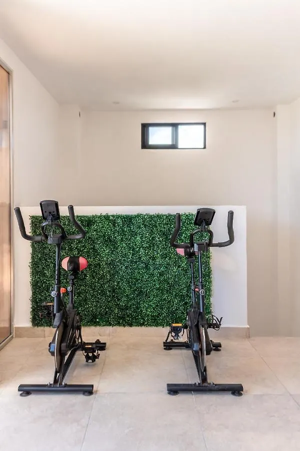 Studios With Roofpool In Vanessa 24 Playa del Carmen
