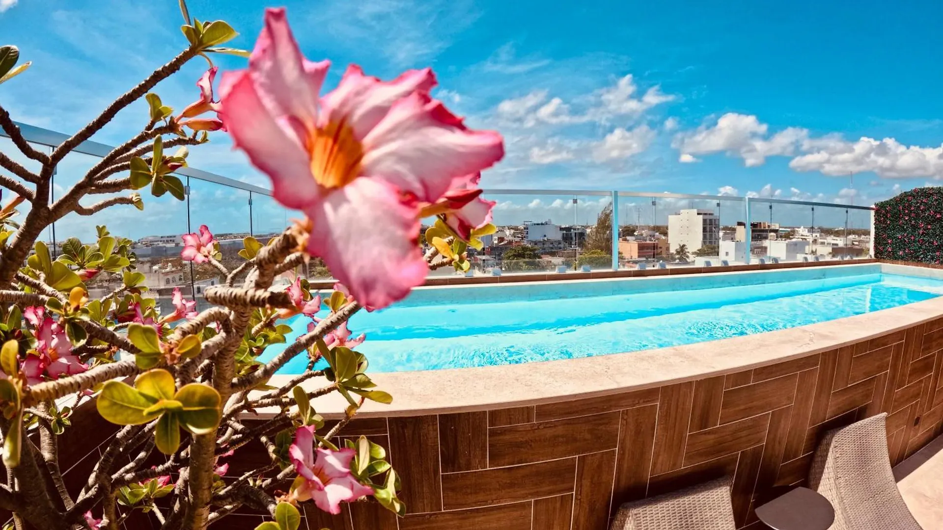 Apartmán Studios With Roofpool In Vanessa 24 Playa del Carmen